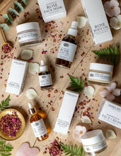 Load image into Gallery viewer, IMMORTELLE Face Cream | Hydrating + Rejuvenative*
